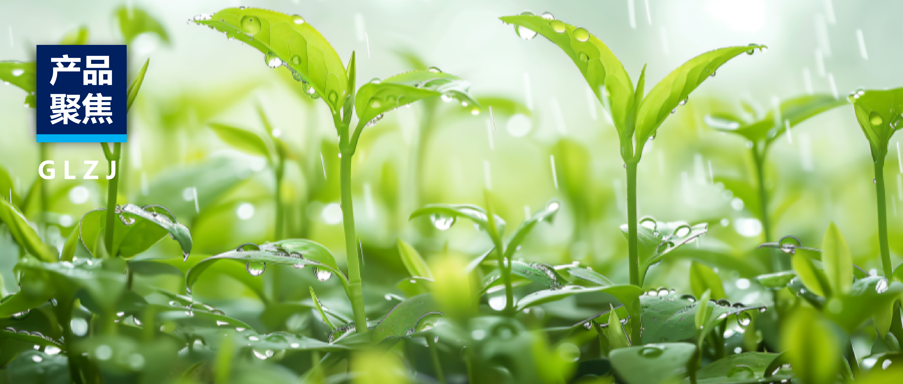 产品聚焦 | 国联质检提供一站式茶叶解决方案